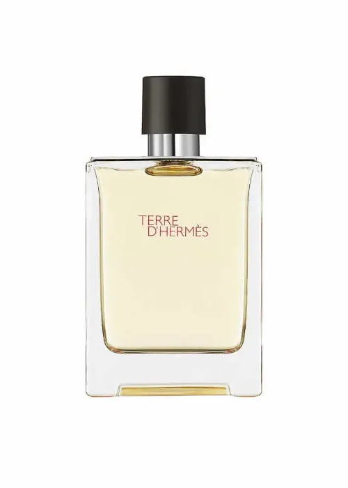 Hermes Terre D'Hermes Eau De Toilette Spray 100ml