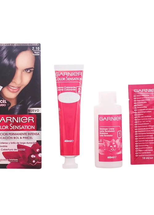 Garnier Color Sensation 2,10 Bluish Black